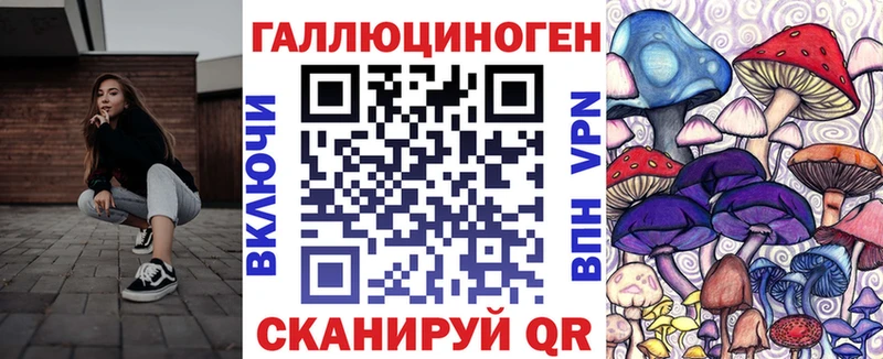 Галлюциногенные грибы Psilocybe  Купить где  Лукоянов 